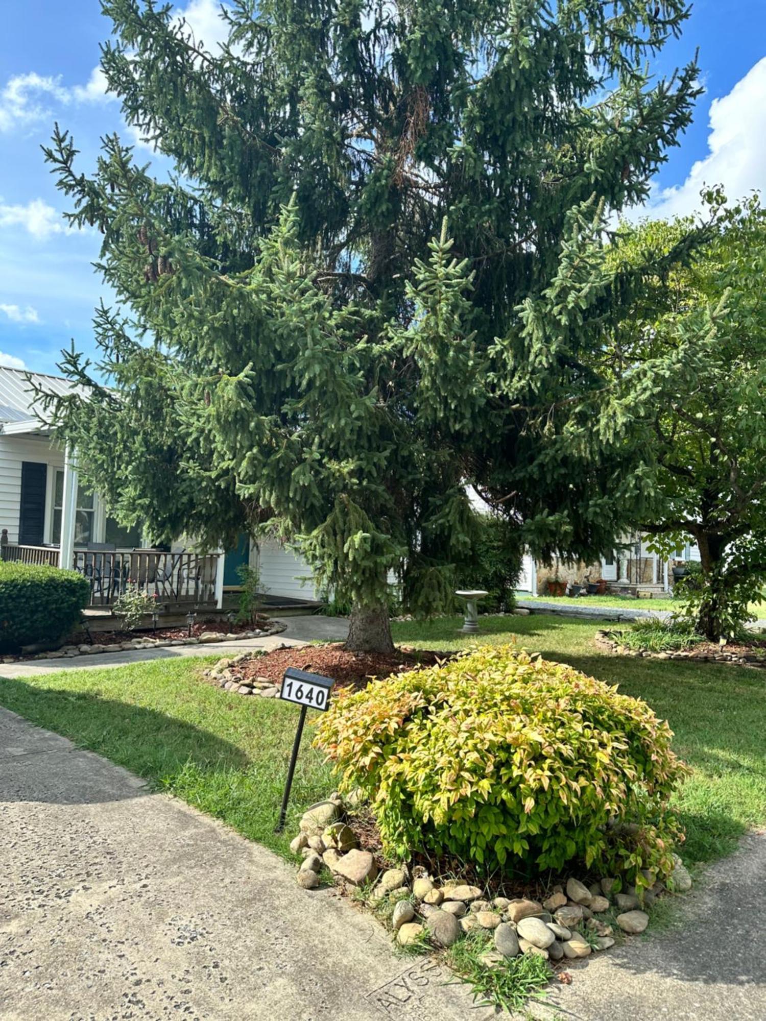 Home Away From Home Kingsport Εξωτερικό φωτογραφία